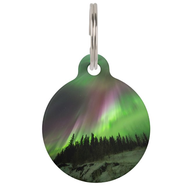 コロナオーロラ ペット　ネームタグ (正面)