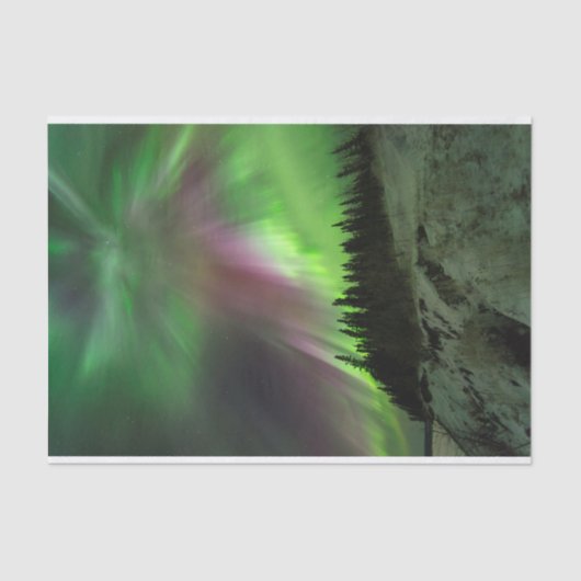 コロナオーロラ 薄葉紙 (正面)