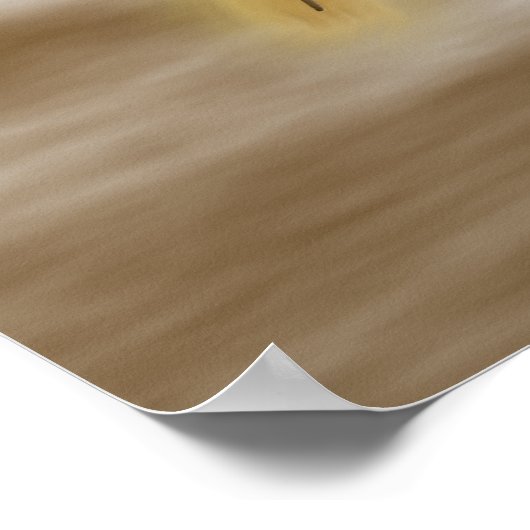 コロナ ポスター (角)