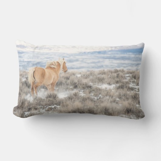 コロナ ランバークッション (正面)