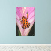 コロニアイルダーツフロッグ，オファガパミリオ キャンバスプリント (インサイチュ (ウッドフロア))