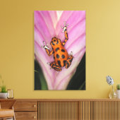 コロニアイルダーツフロッグ，オファガパミリオ キャンバスプリント (インサイチュ (リビング))