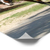 コロニアルウィリアムズバーグキャリッジ – プリント (角)