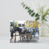 コロニアルウィリアムズバーグ ポストカード (スタンド正面)