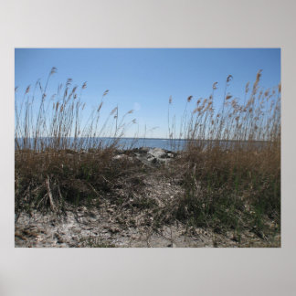 コロニアルビーチ1 ポスター