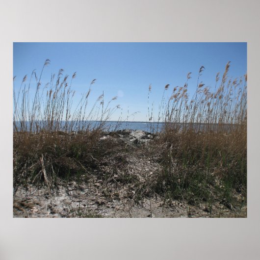 コロニアルビーチ1 ポスター (正面)