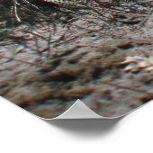 コロニアルビーチ1 ポスター (角)