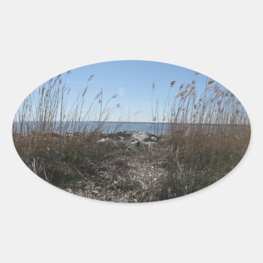 コロニアルビーチ1 楕円形シール (正面)