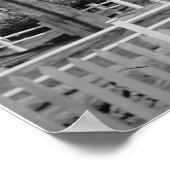 コロニー（イェール大学） ポスター (角)