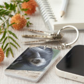 コロバポリコモス キーホルダー (正面右)