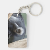 コロバポリコモス キーホルダー (裏面)