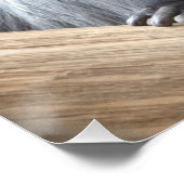 コロバポリコモス ポスター (コーナー)