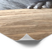 コロバポリコモス ポスター (角)