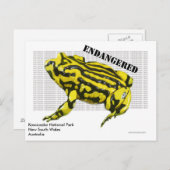 コロボレーフロッグコスチュスコ国立公園 ポストカード (正面/裏面)