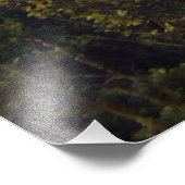 コロマンデルニュージーランドピナクルズGoProワイド フォトプリント (角)