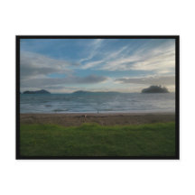 コロマンデル（ニュージーランド）