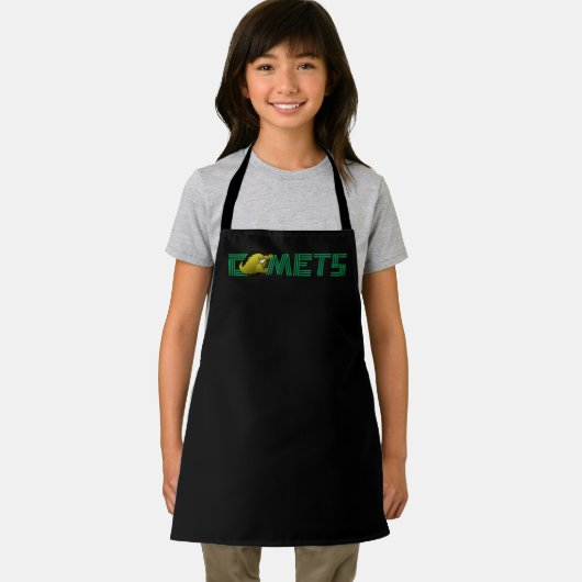 コロマ彗星#3 エプロン (インサイチュ)