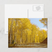 コロラカラフルド州秋 ポストカード (正面/裏面)