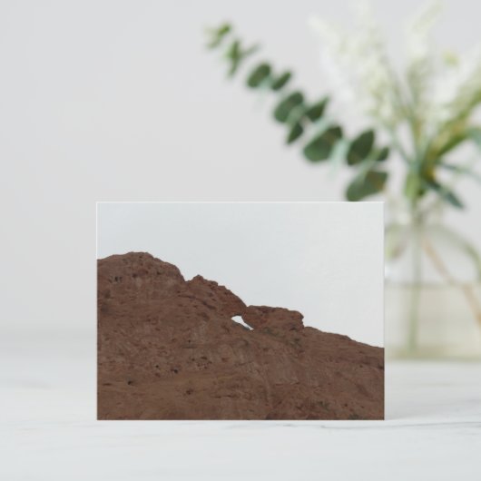 コロラキスをするド州の神々の庭のラクダ ポストカード (スタンド正面)