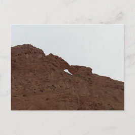 コロラキスをするド州の神々の庭のラクダ ポストカード