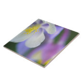 コロラドのオダマキ（植物）の花。 タイル (側面)