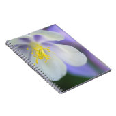 コロラドのオダマキ（植物）の花。 ノートブック (右側)