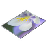 コロラドのオダマキ（植物）の花。 ノートブック (左側)