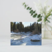 コロラドはがき ポストカード (スタンド正面)