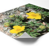 コロラドイエローマウンテンワイルドフラワー ポスター (角)