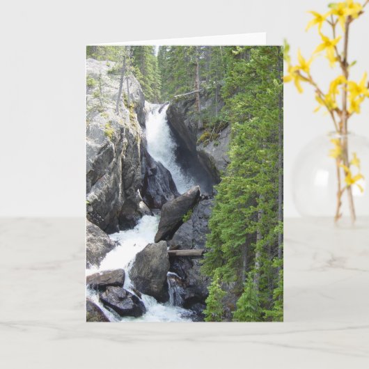 コロラドウォーターフォールすべての行事グリーティングカード カード (黄色い花)