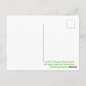 コロラドエルク ポストカード (裏面)