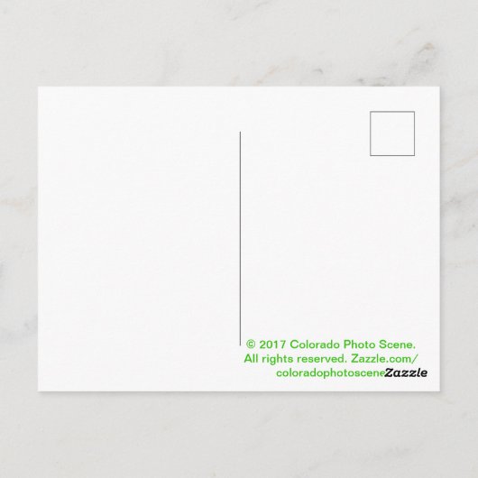 コロラドエルク ポストカード (裏面)