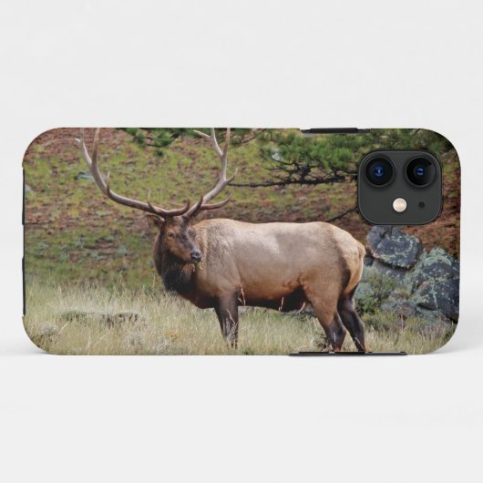 コロラドエルクiPhone 5 Case-Mate iPhoneケース (裏面(横))