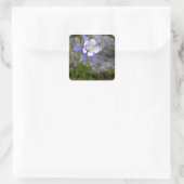 コロラドオダマキ（植物） スクエアシール (バッグ)