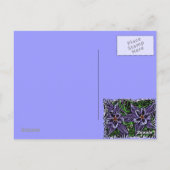 コロラドオダマキ（植物）葉書 ポストカード (裏面)