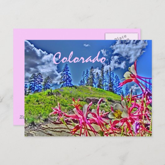 コロラドオダマキ(植物)風光明媚はがき ポストカード (正面/裏面)