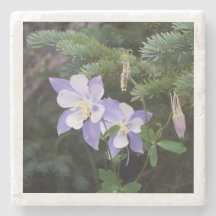 コロラドオダマキ(植物)4"x4"マーブルコースター