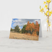 コロラドオータム《植物》アスペンツリーズすべての行事 カード (黄色い花)