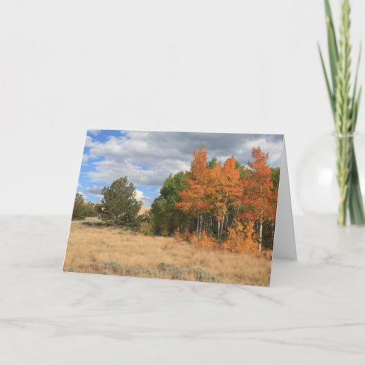コロラドオータム《植物》アスペンツリーズすべての行事 カード (正面)