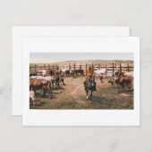 コロラドカウボーイ1904 ポストカード (正面/裏面)