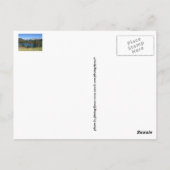 コロラドカラフルハガキ ポストカード (裏面)