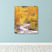 コロラドカラフル州モリソンの秋の《植物》アスペンツリー キャンバスプリント (インサイチュ (ウッドフロア))