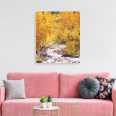 コロラドカラフル州モリソンの秋の《植物》アスペンツリー キャンバスプリント (インサイチュ (リビング))