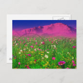 コロラドカラフル州，パイクピークマウンテン ポストカード (正面/裏面)