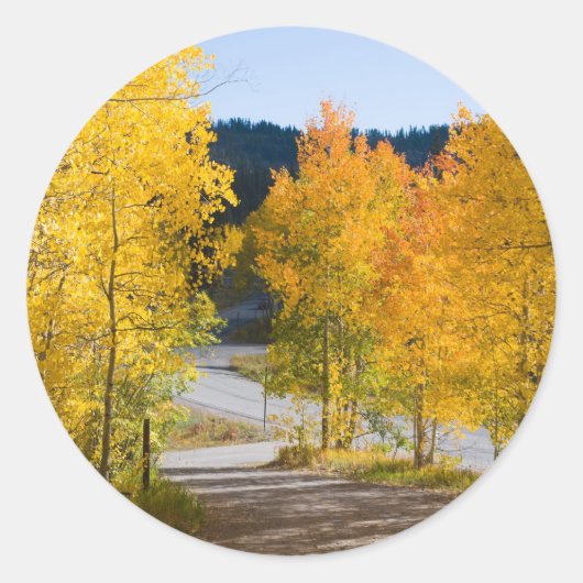 コロラドカラーステッカー ラウンドシール (正面)