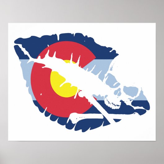 コロラドキス ポスター (正面)