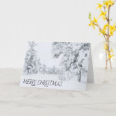 コロラドクリスマス カード (黄色い花)