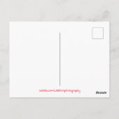 コロラドサマーキャンプファイア ポストカード (裏面)