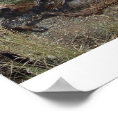 コロラドサンセット ポスター (角)