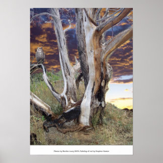 コロラドサンセット ポスター